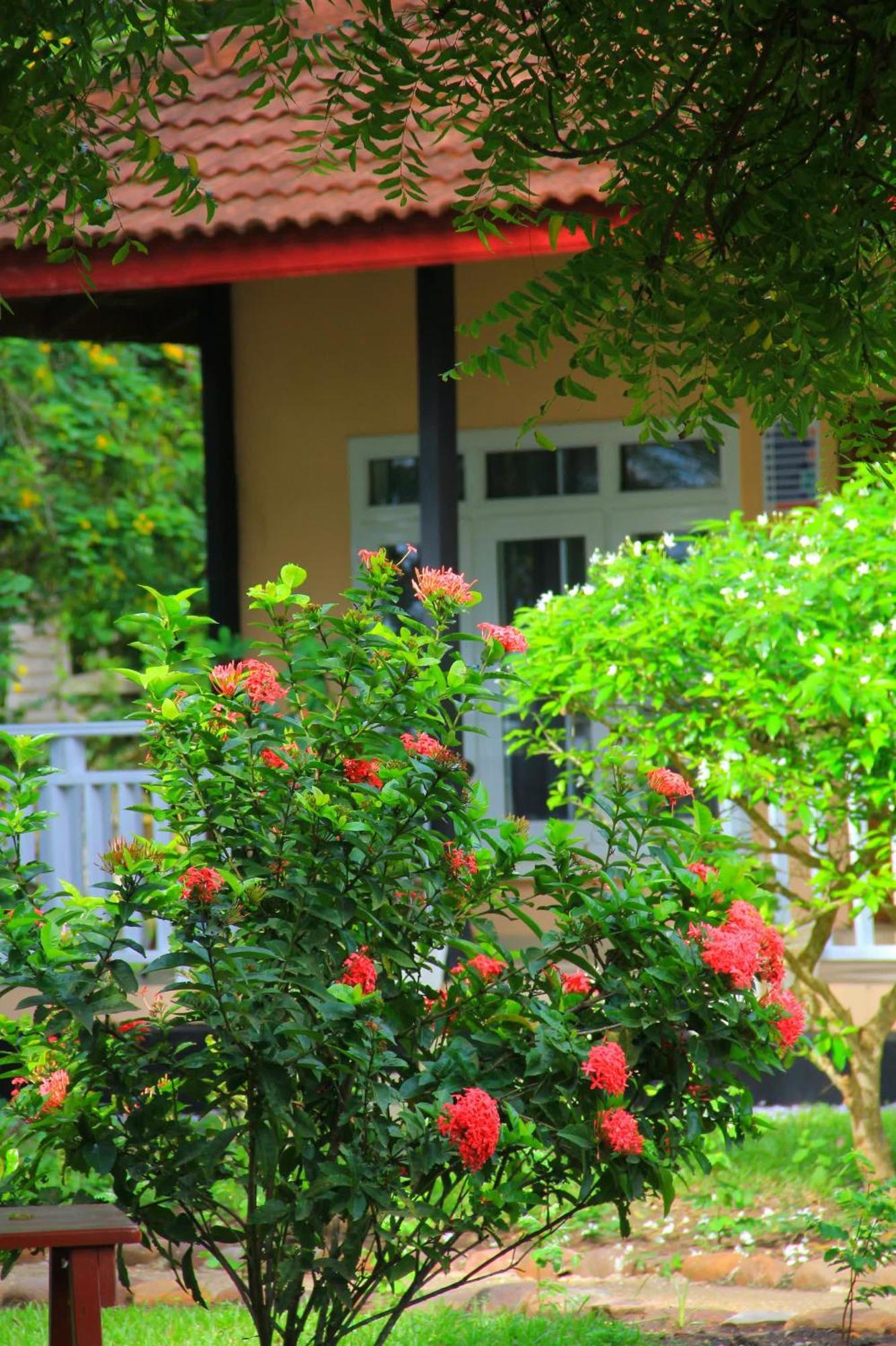 Charlestina Beach Resort Ampeni Екстер'єр фото